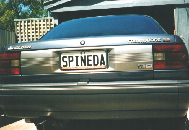 Spineda