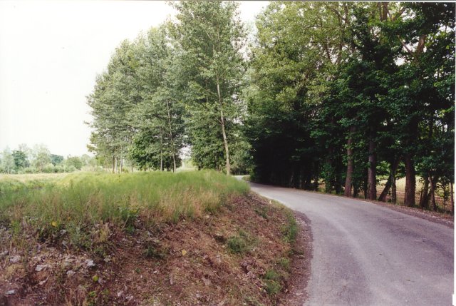 Un'altra foto di via Toscanigo, molto gradevole da percorrere in bicicletta.